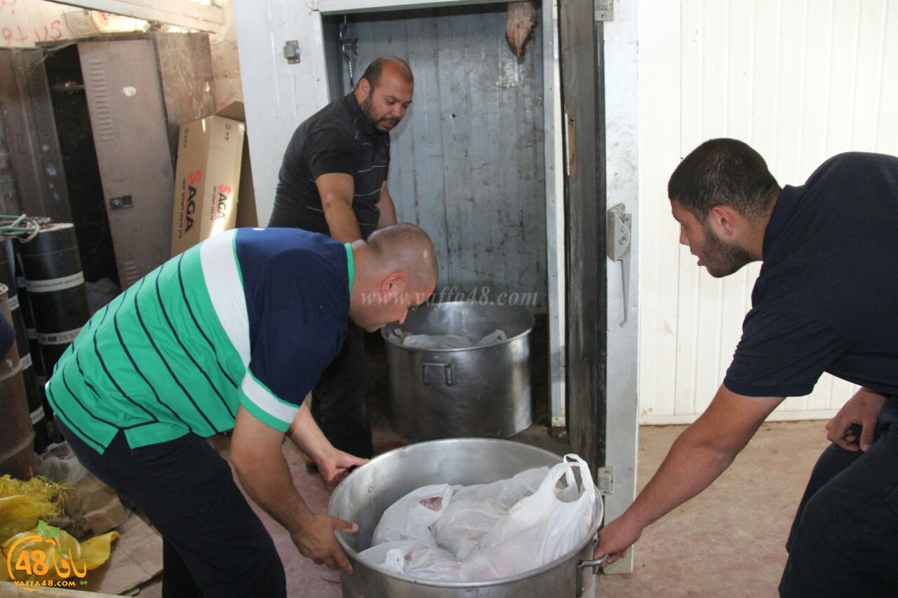 torody second marl7ala (23).jpg